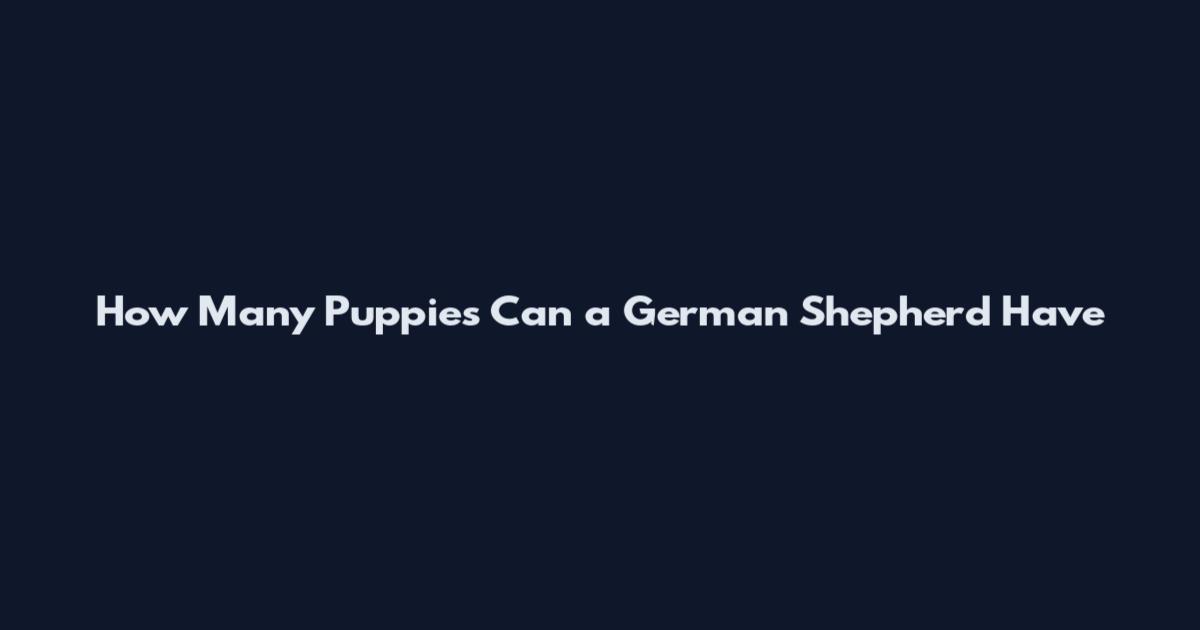 How Many Puppies Can a German Shepherd Have