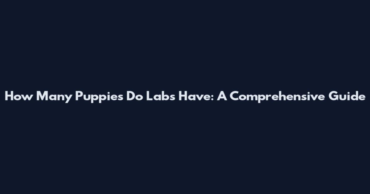 How Many Puppies Do Labs Have: A Comprehensive Guide