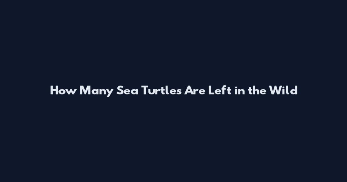 How Many Sea Turtles Are Left in the Wild