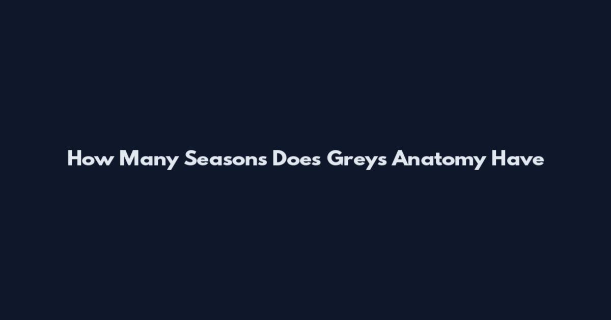 How Many Seasons Does Grey's Anatomy Have