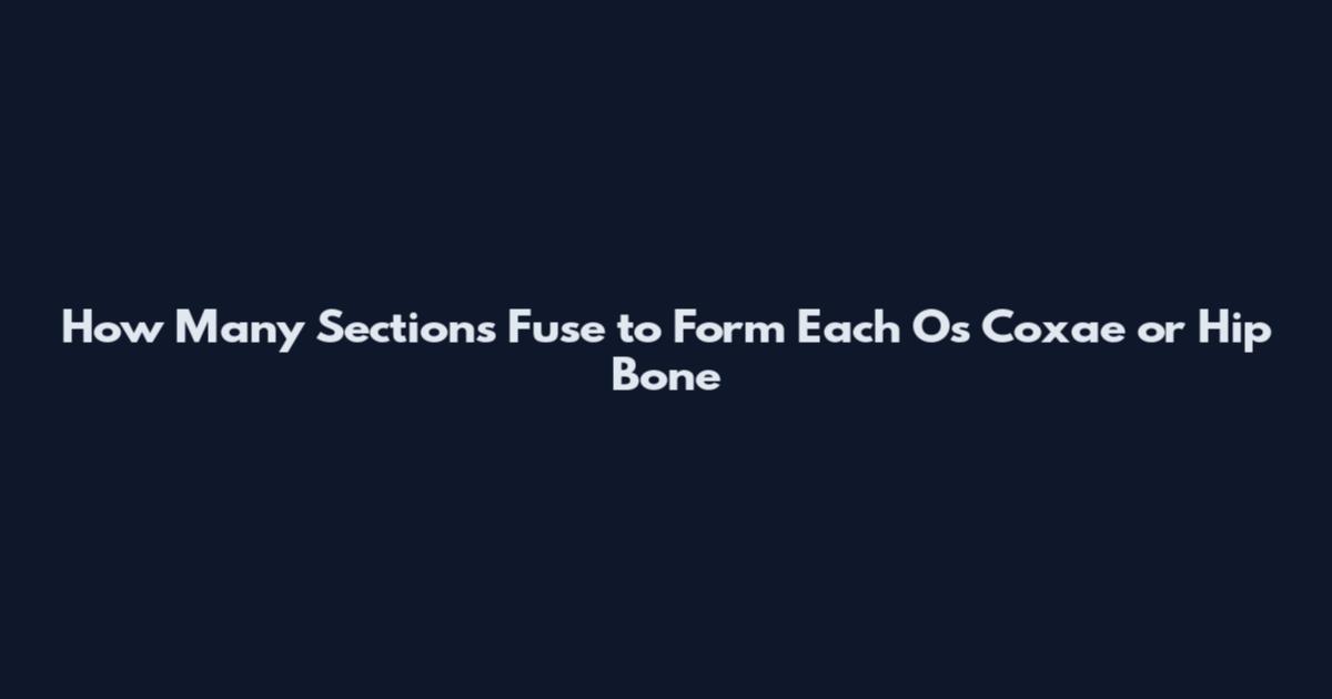 How Many Sections Fuse to Form Each Os Coxae or Hip Bone