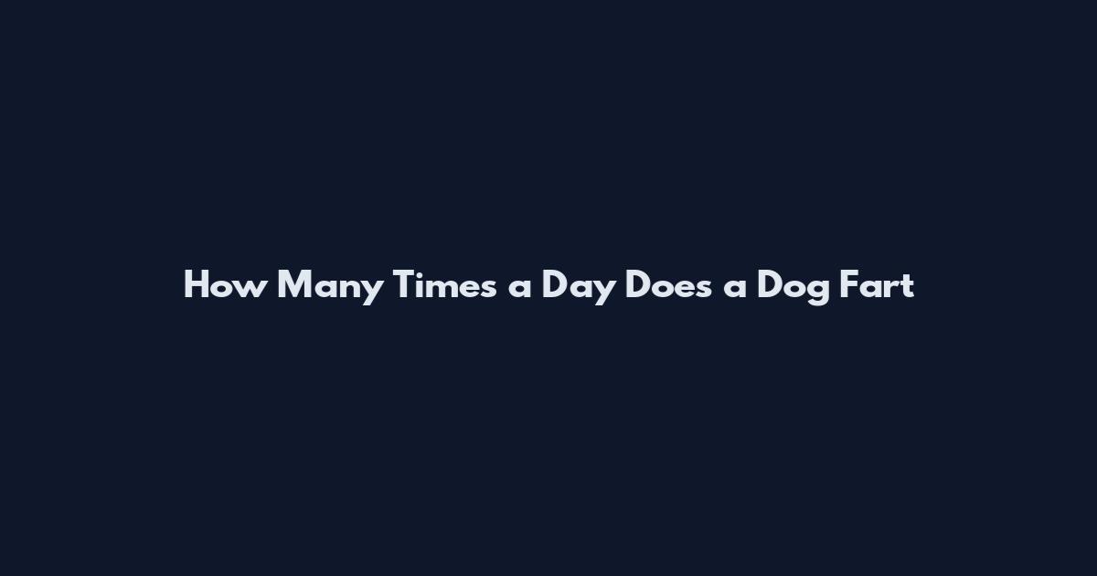 How Many Times a Day Does a Dog Fart