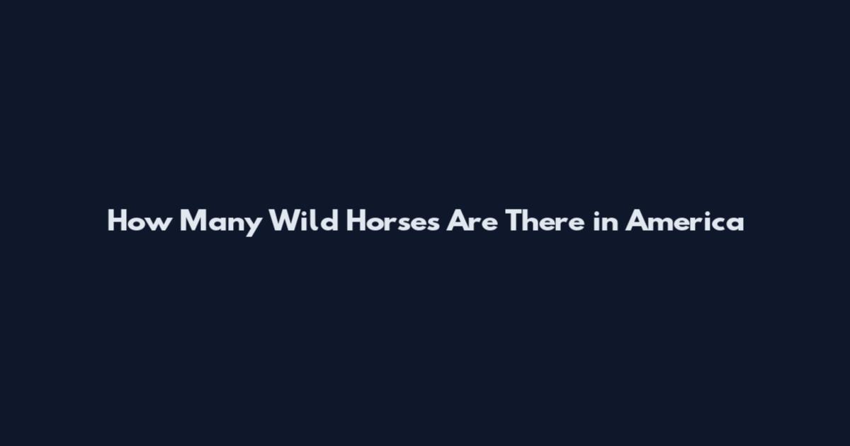 How Many Wild Horses Are There in America