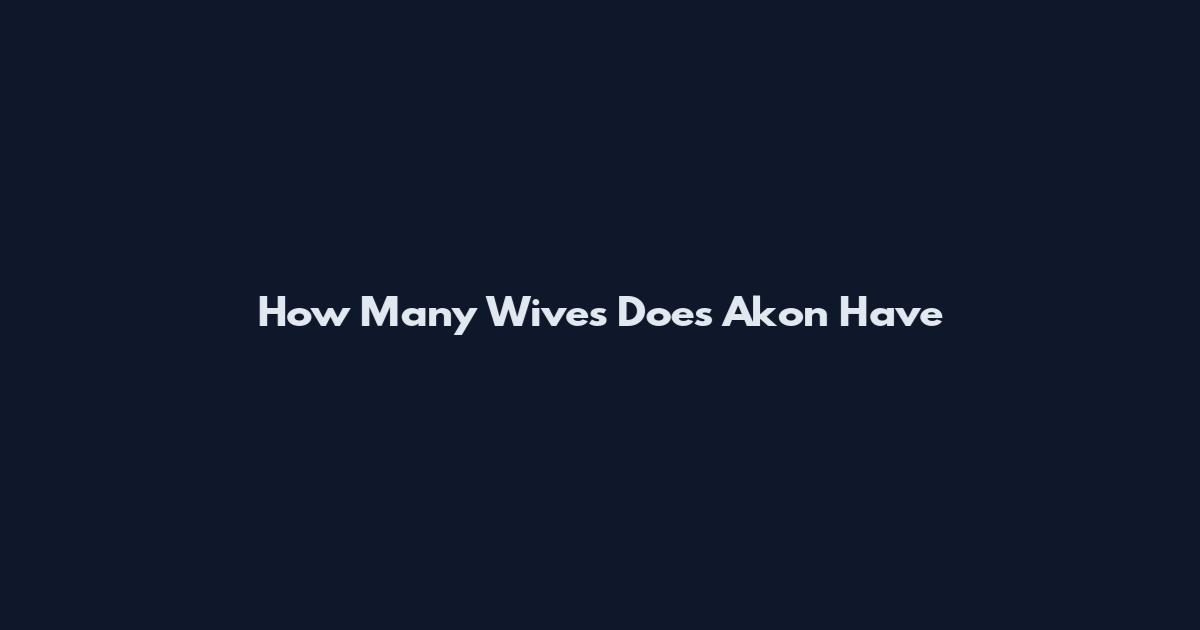 How Many Wives Does Akon Have