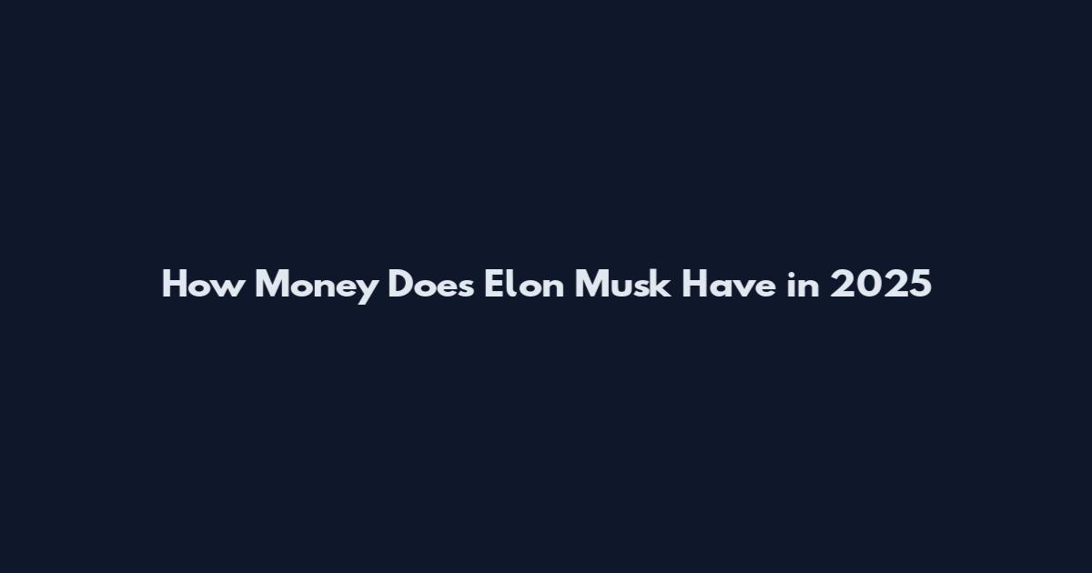 How Money Does Elon Musk Have in 2025