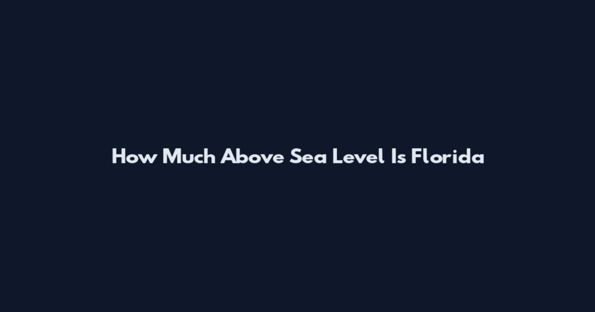 How Much Above Sea Level Is Florida