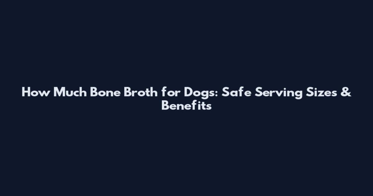 How Much Bone Broth for Dogs: Safe Serving Sizes & Benefits