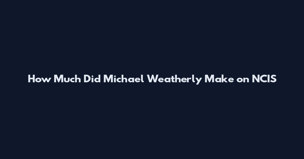 How Much Did Michael Weatherly Make on NCIS