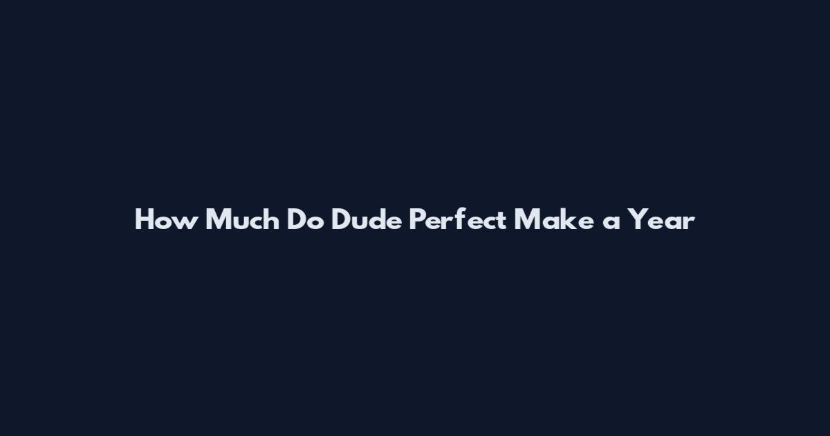 How Much Do Dude Perfect Make a Year