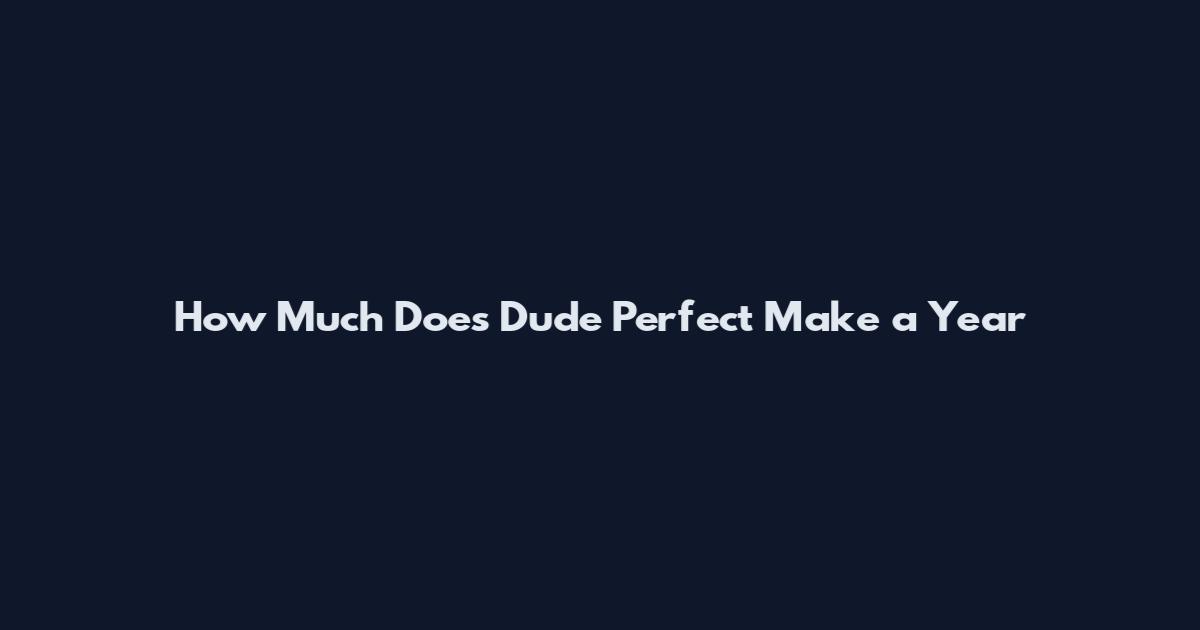 How Much Does Dude Perfect Make a Year