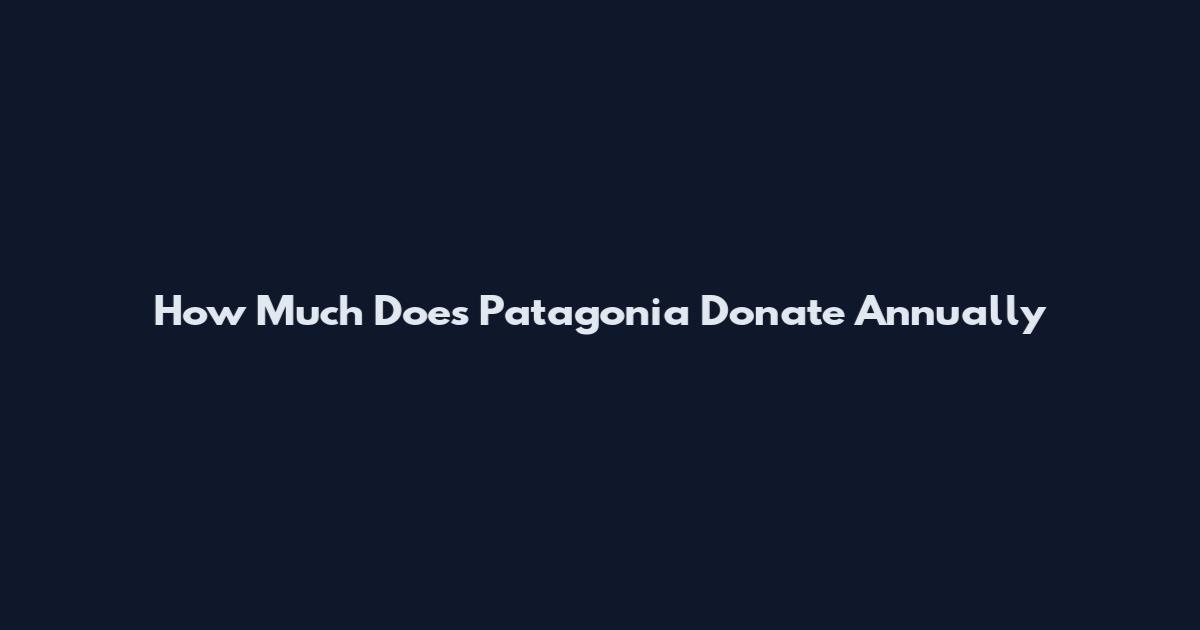 How Much Does Patagonia Donate Annually