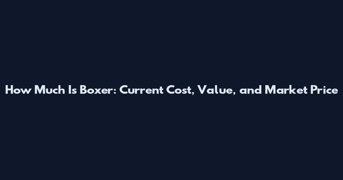 How Much Is Boxer: Current Cost, Value, and Market Price