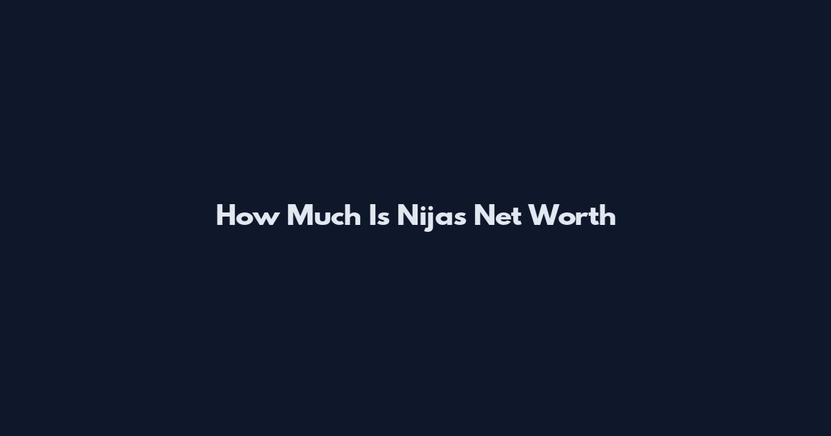 How Much Is Nija's Net Worth
