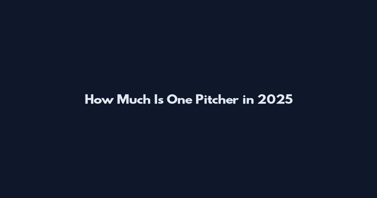How Much Is One Pitcher in 2025