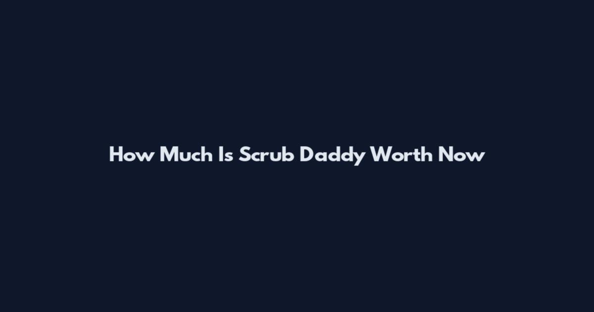 How Much Is Scrub Daddy Worth Now
