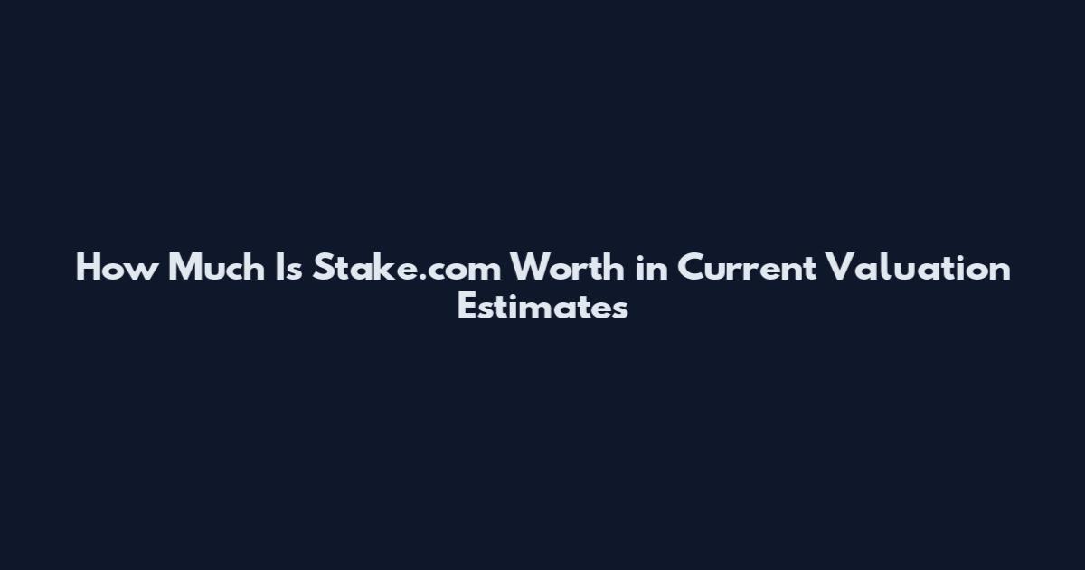 How Much Is Stake.com Worth in Current Valuation Estimates