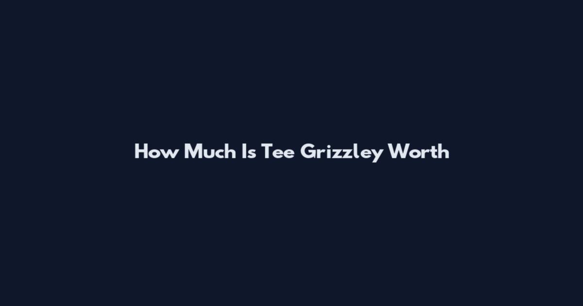 How Much Is Tee Grizzley Worth