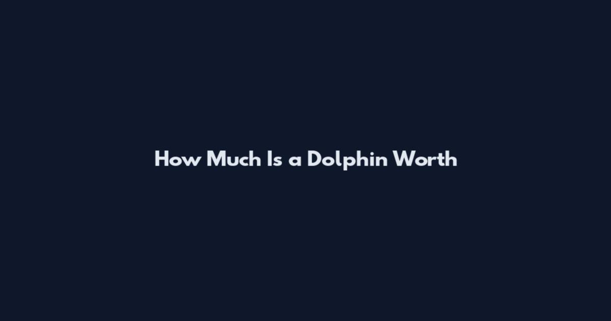 How Much Is a Dolphin Worth