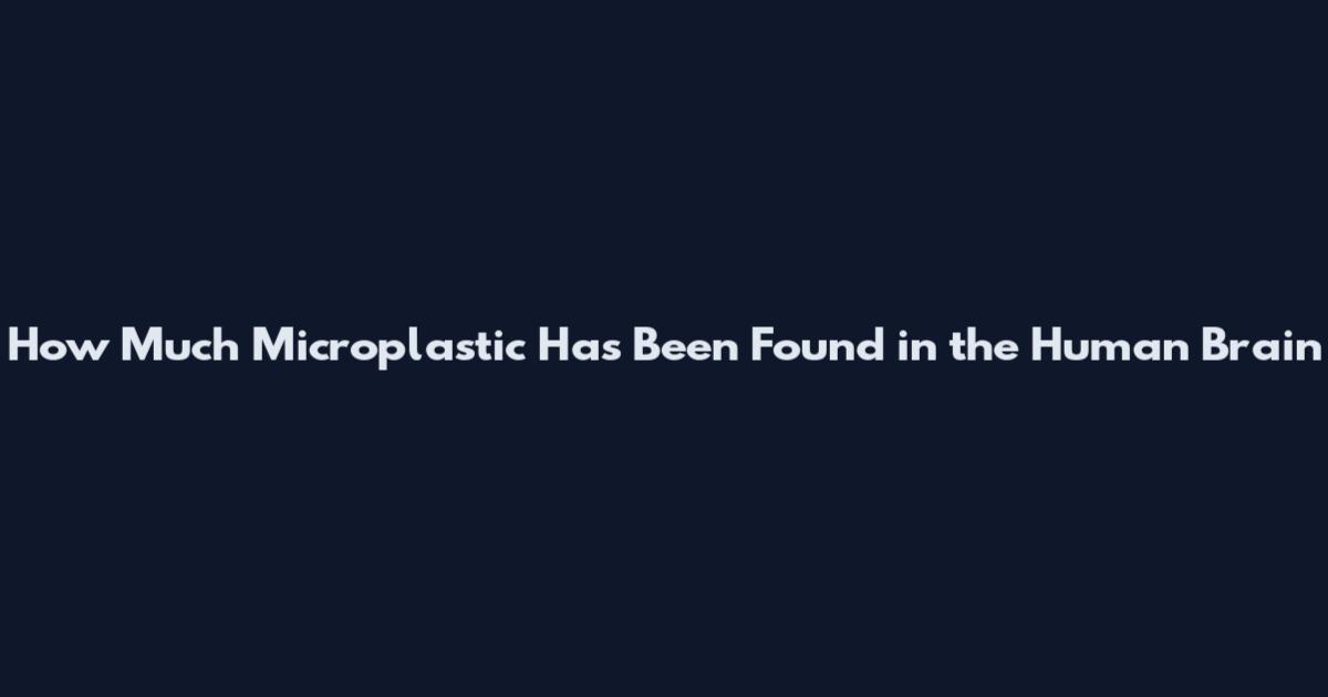 How Much Microplastic Has Been Found in the Human Brain