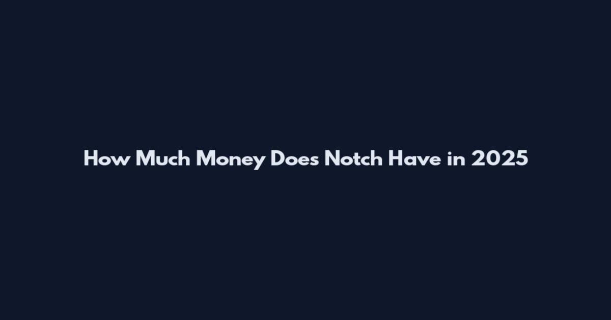 How Much Money Does Notch Have in 2025