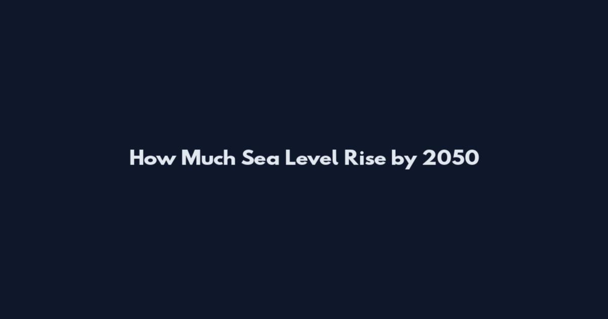How Much Sea Level Rise by 2050
