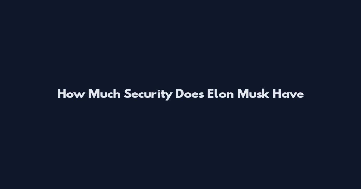 How Much Security Does Elon Musk Have