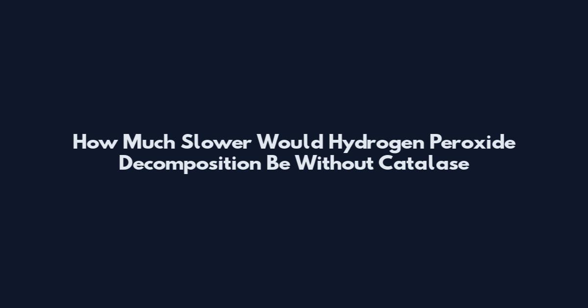 How Much Slower Would Hydrogen Peroxide Decomposition Be Without Catalase