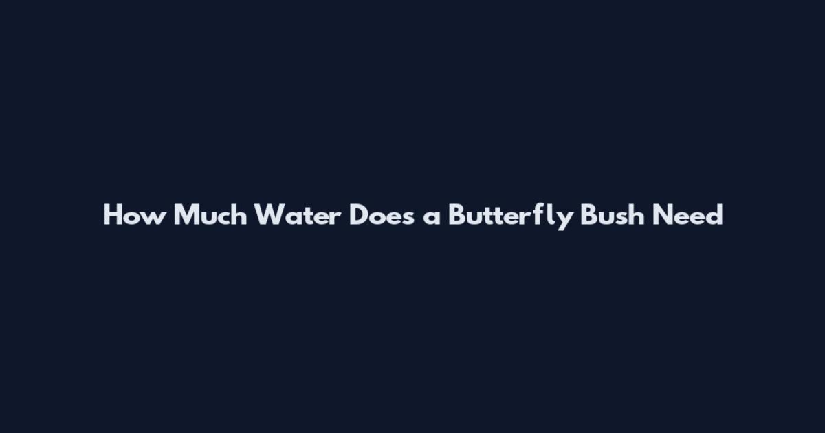 How Much Water Does a Butterfly Bush Need