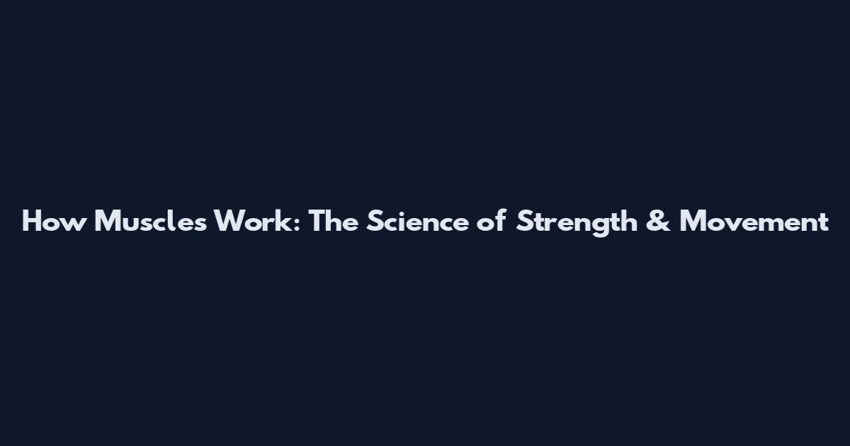 How Muscles Work: The Science of Strength & Movement