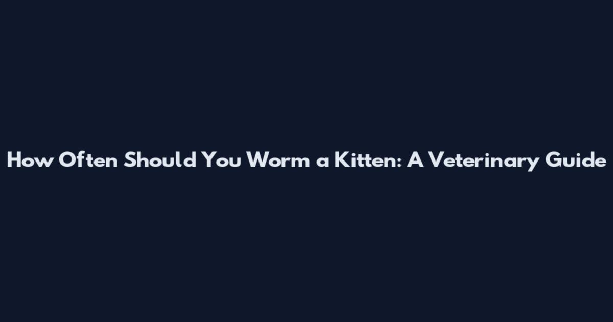 How Often Should You Worm a Kitten: A Veterinary Guide