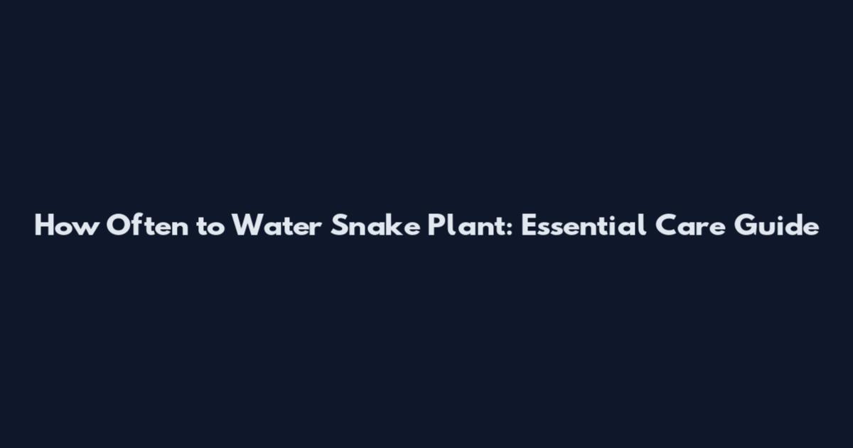 How Often to Water Snake Plant: Essential Care Guide