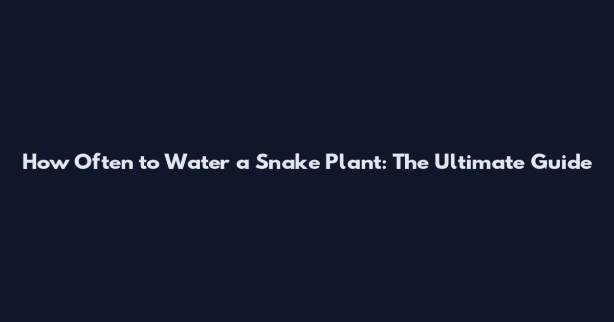How Often to Water a Snake Plant: The Ultimate Guide