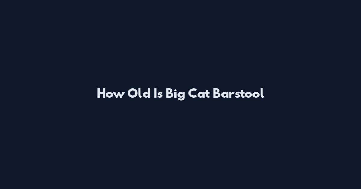 How Old Is Big Cat Barstool