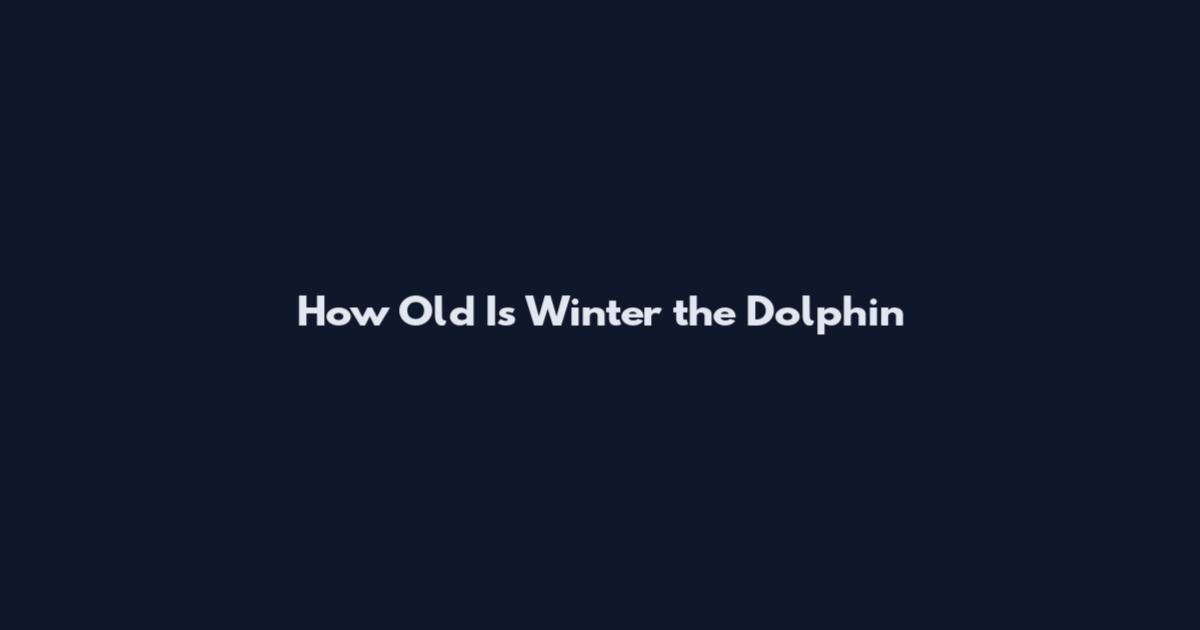 How Old Is Winter the Dolphin