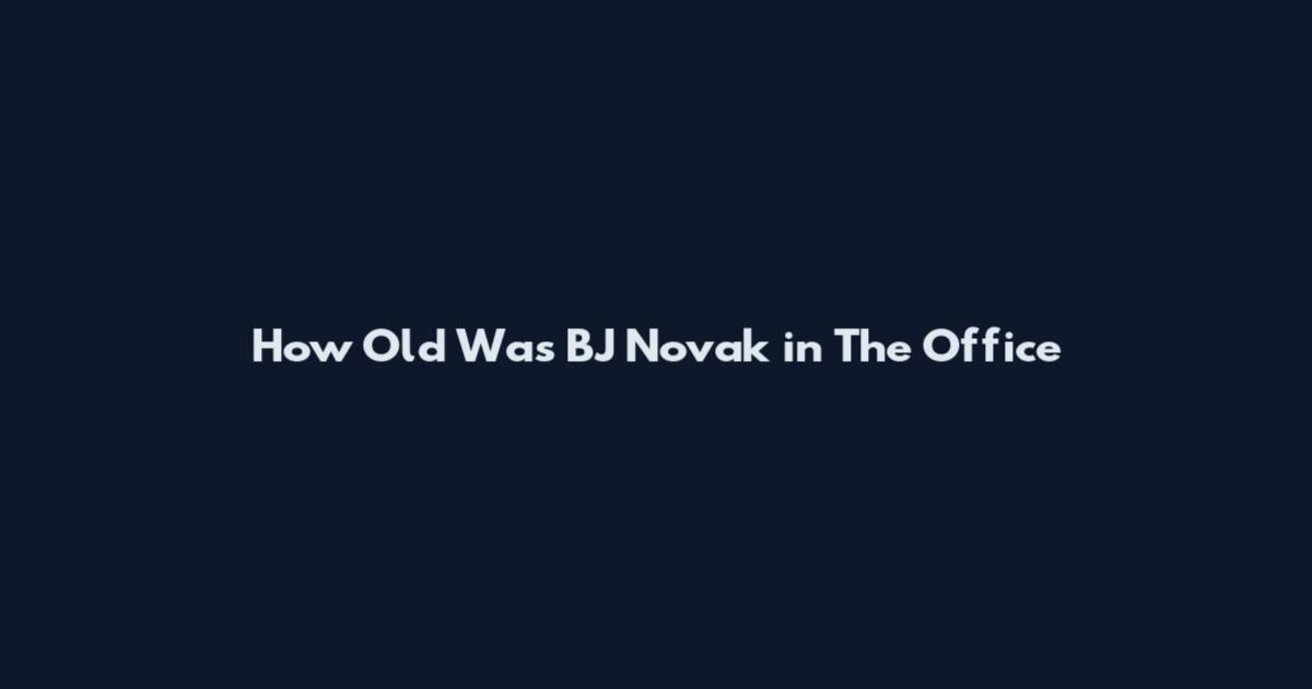 How Old Was BJ Novak in The Office