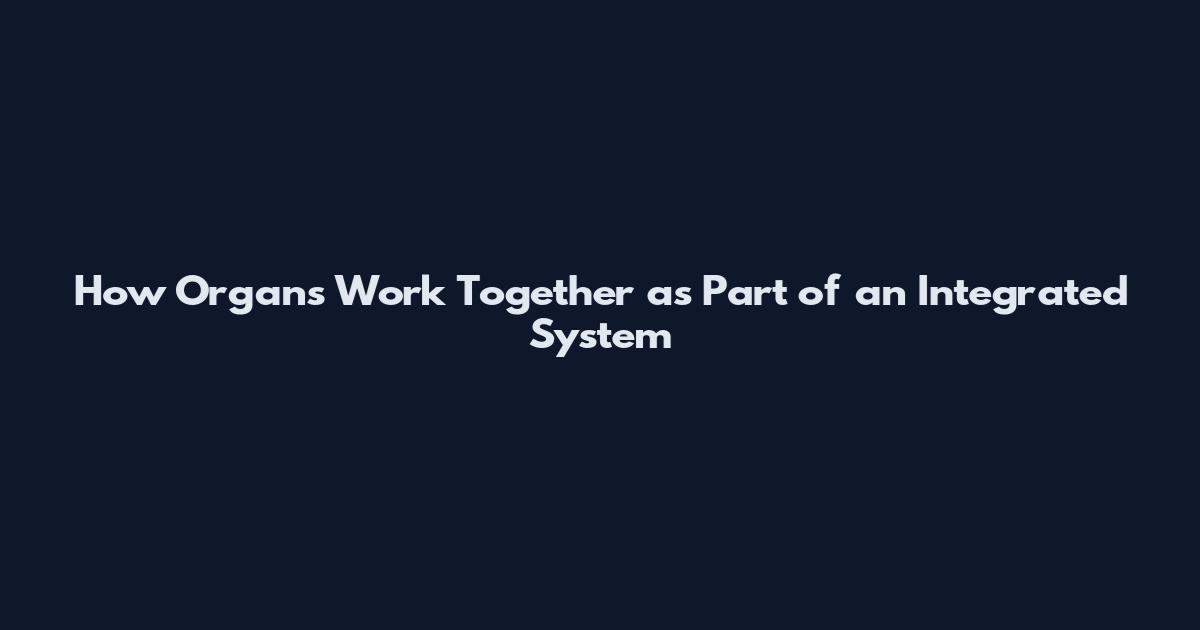 How Organs Work Together as Part of an Integrated System