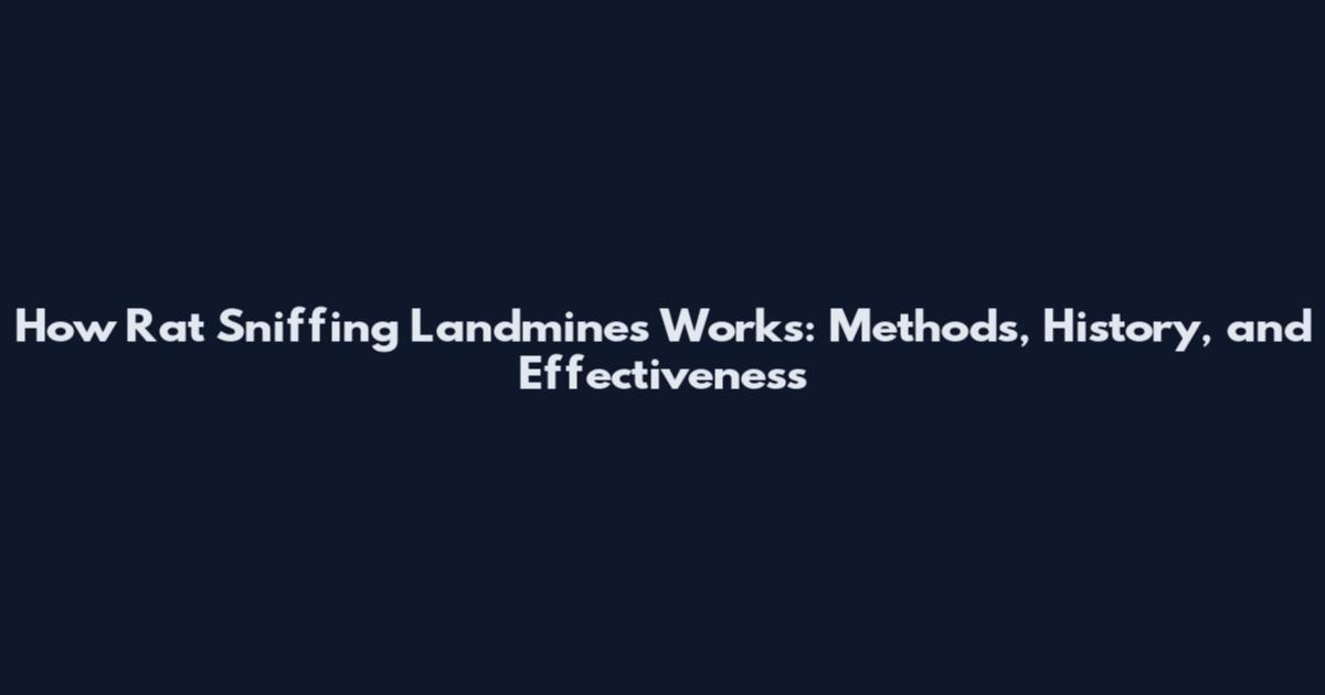 How Rat Sniffing Landmines Works: Methods, History, and Effectiveness
