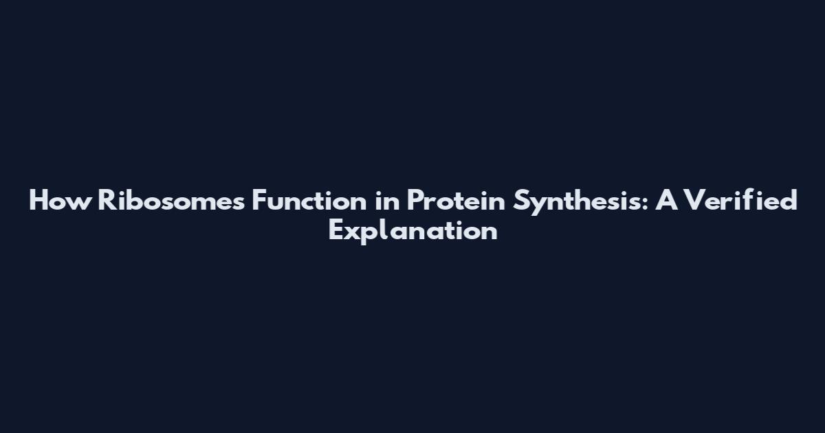 How Ribosomes Function in Protein Synthesis: A Verified Explanation