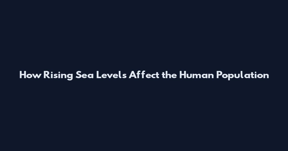 How Rising Sea Levels Affect the Human Population