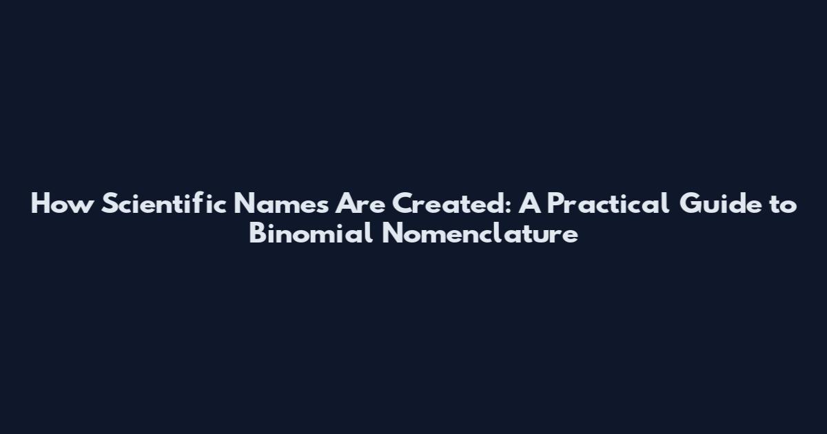 How Scientific Names Are Created: A Practical Guide to Binomial Nomenclature