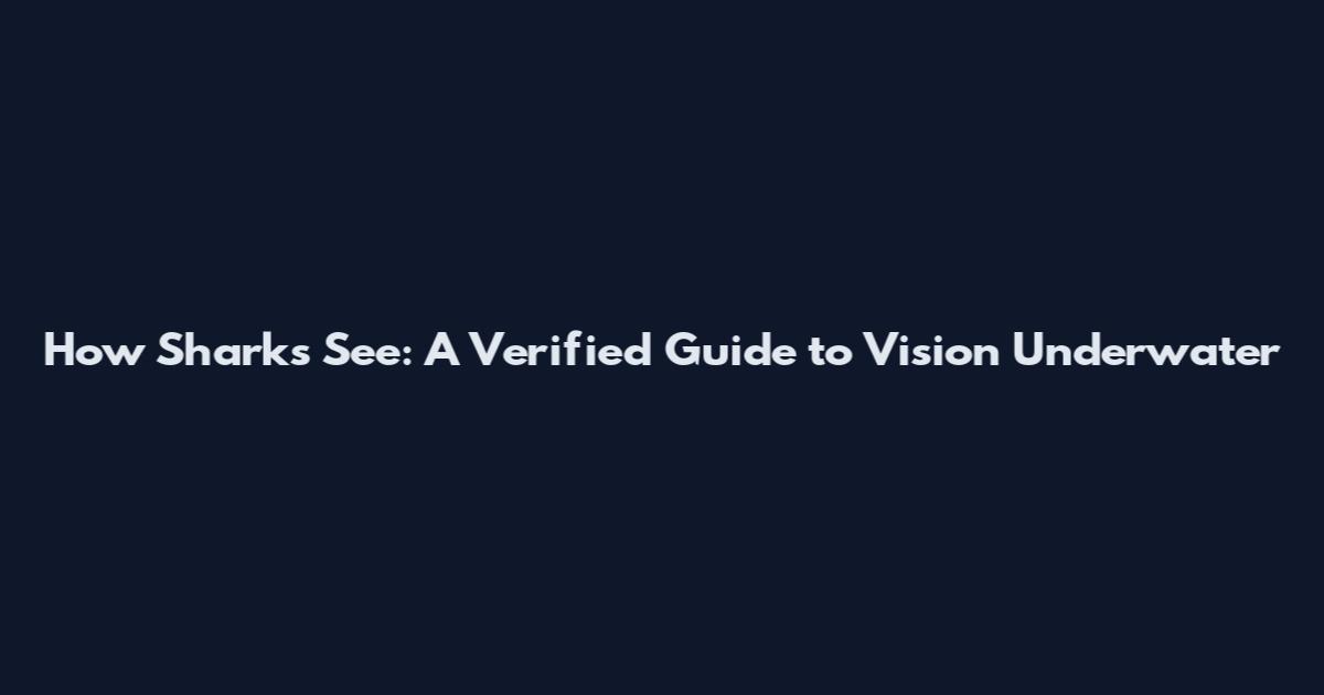 How Sharks See: A Verified Guide to Vision Underwater