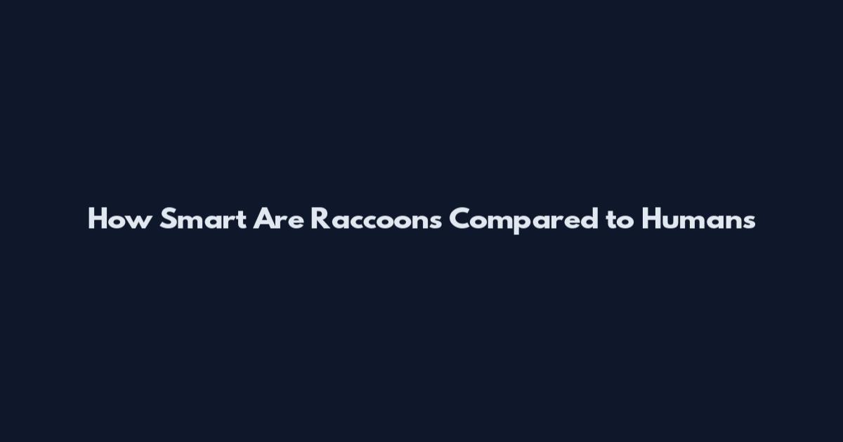 How Smart Are Raccoons Compared to Humans
