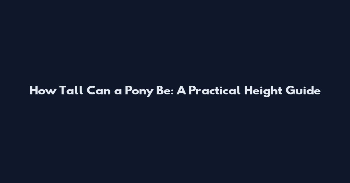 How Tall Can a Pony Be: A Practical Height Guide