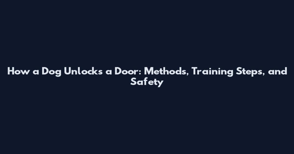 How a Dog Unlocks a Door: Methods, Training Steps, and Safety