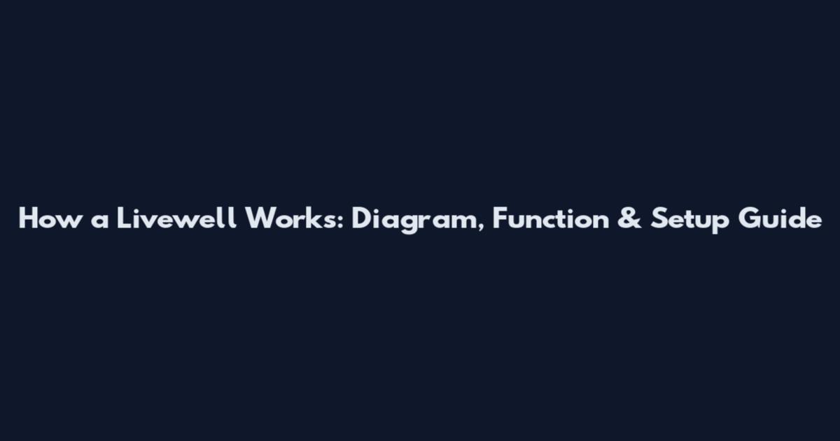 How a Livewell Works: Diagram, Function & Setup Guide