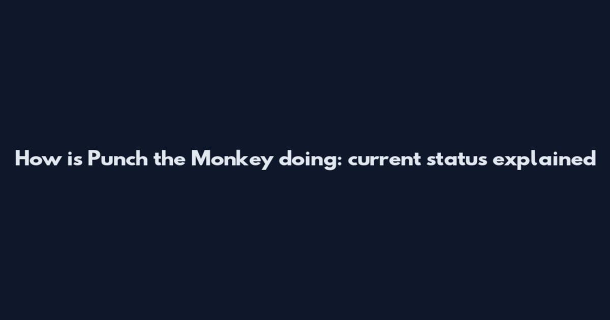 How is Punch the Monkey doing: current status explained