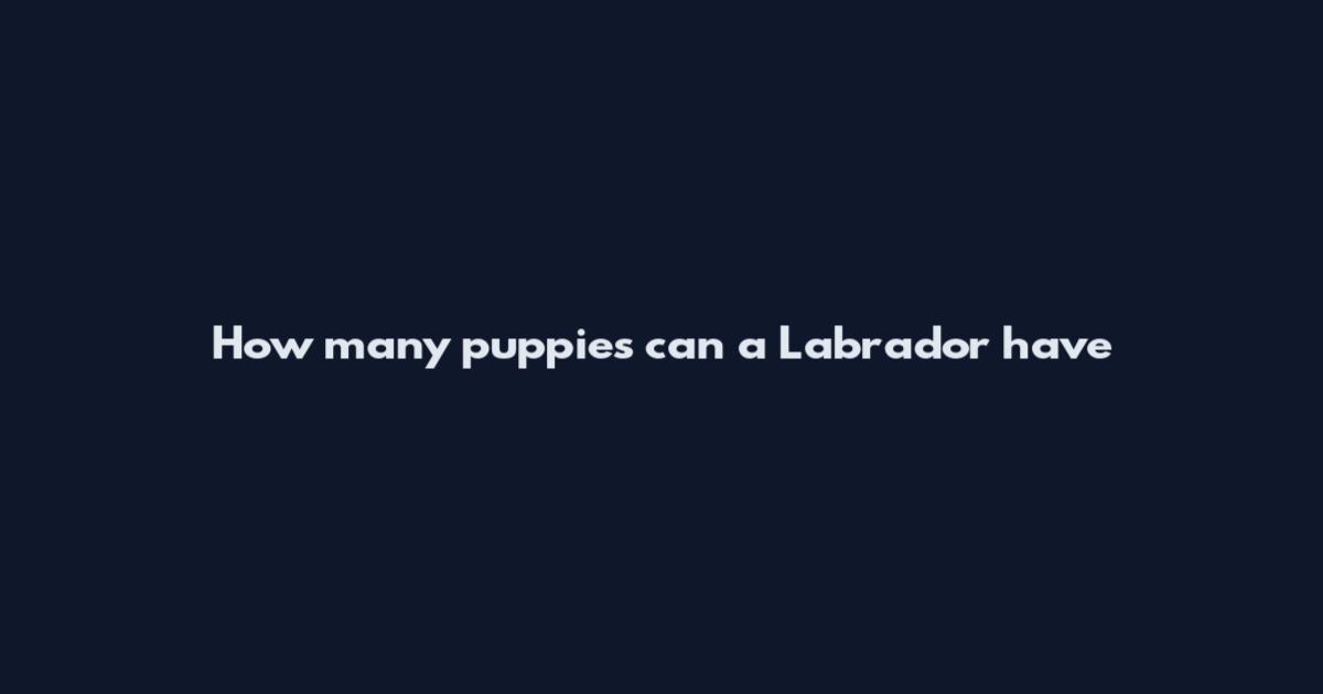 How many puppies can a Labrador have
