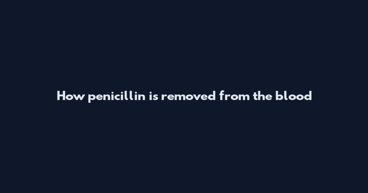 How penicillin is removed from the blood