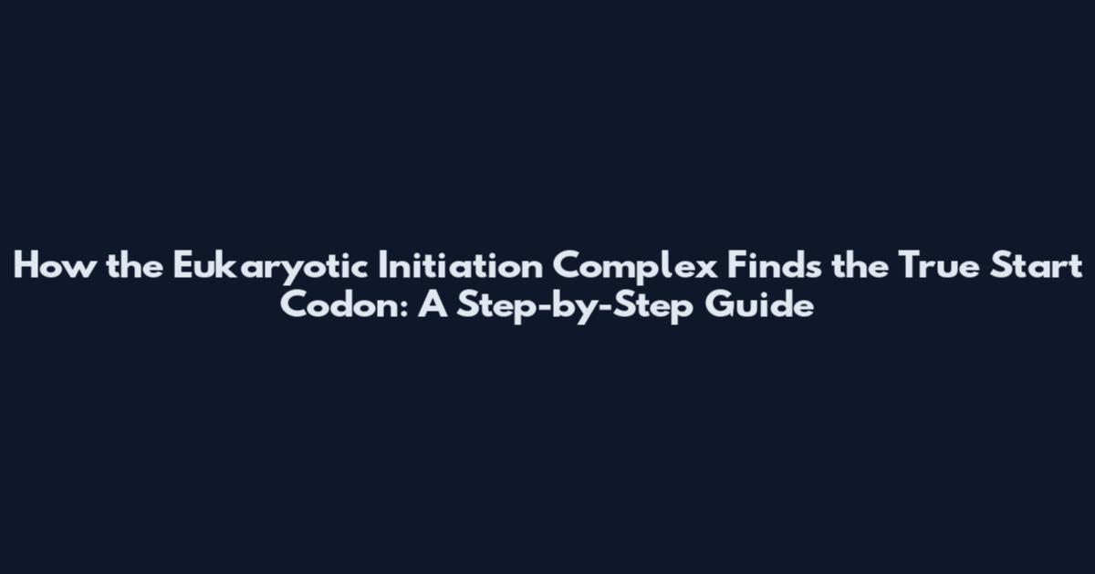 How the Eukaryotic Initiation Complex Finds the True Start Codon: A Step-by-Step Guide