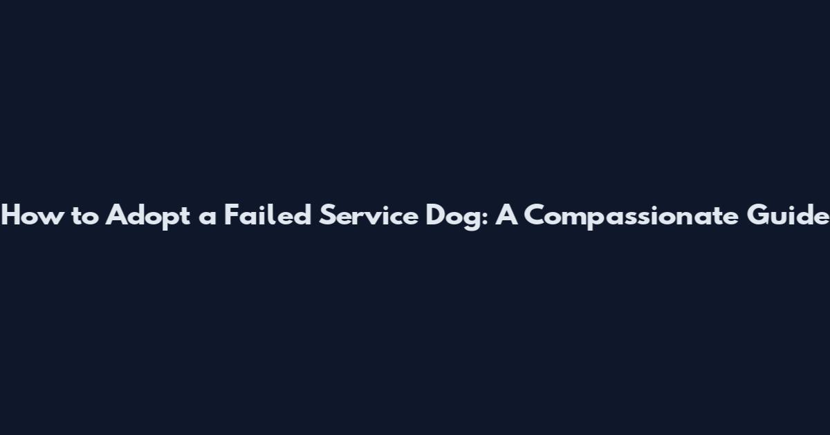 How to Adopt a Failed Service Dog: A Compassionate Guide